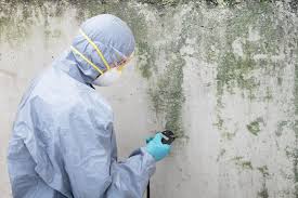 Best Mold Removal for HVAC Installations in Ocean City, NJ